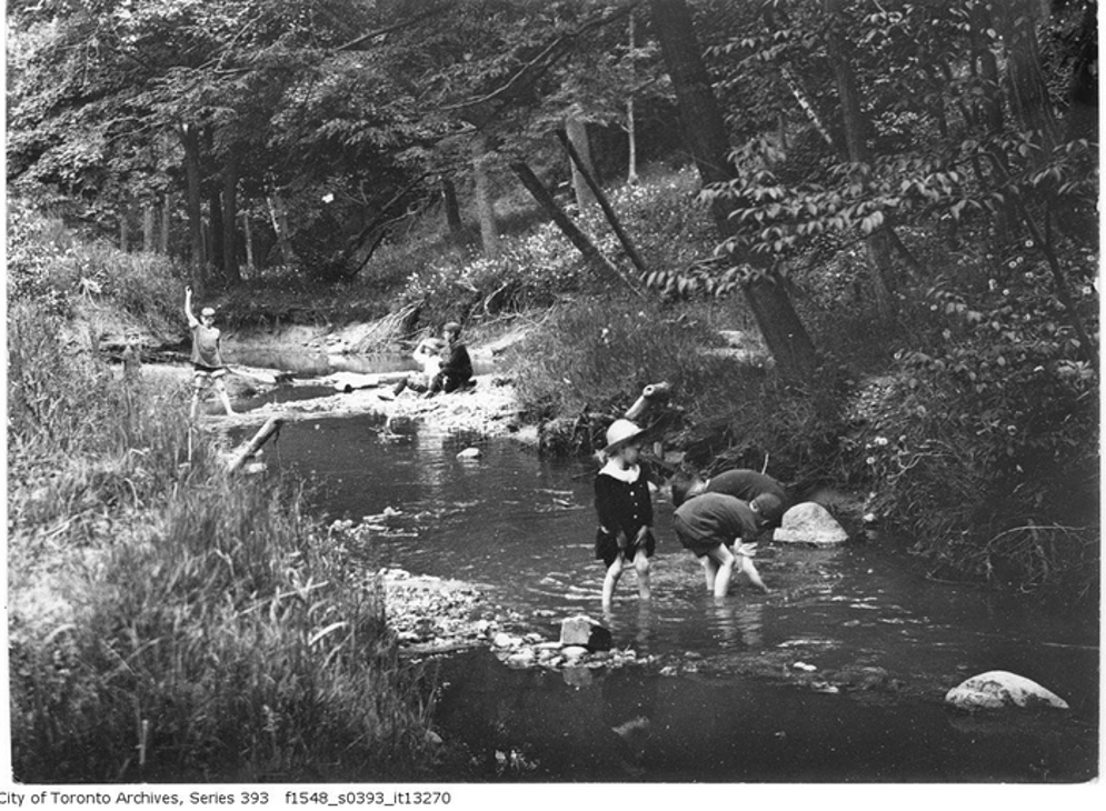 Taddle Creek where it flowed through Wychwood Park ca. 1916