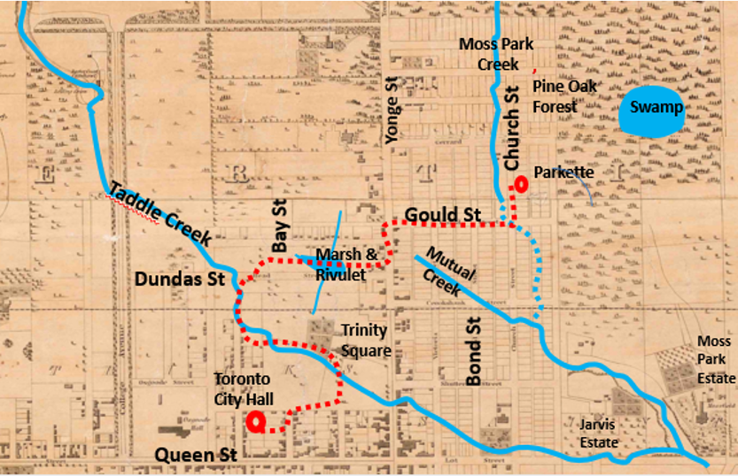 Route of the Walk relative to Taddle Creek